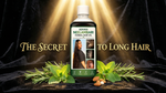 Herbal Hair Oil – Stop Hair Fall & Boost Rapid Hair Growth | 100% Natural